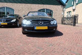 Mercedes CLK 320 elegance picture 2