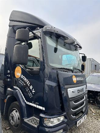 dommages camions /poids lourds DAF LF 180 FA 2019/11