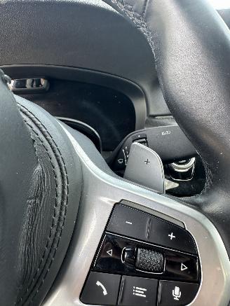 BMW 5-serie 5301 high Executive Edition picture 19