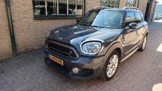 škoda osobní automobily Mini Countryman Mini Countryman 2.0 Cooper SD ALL4 Chili 2017/7