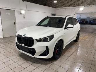 BMW X1 xDrive23d M Sport Pro PANO/HUD/360/AHK/H&K picture 6