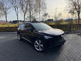  Audi Q4 Audi Q4 E-tron 40e S-Line Panorama Camera LED VOL 2022/10