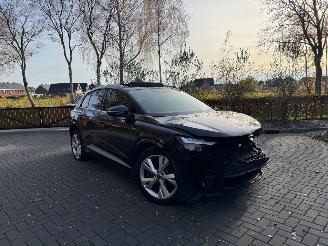 Audi Q4 Audi Q4 E-tron 40e S-Line Panorama Camera LED VOL picture 20