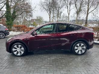 Tesla Model Y Tesla Model Y Long Range Dual AWD Panoramadak Camera Autopilot VOL picture 10