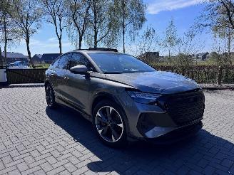 damaged passenger cars Audi Q4 Audi Q4 e-tron Sportback 40 PANO Leer Camera AHK VSONOS VOL! 2024/7