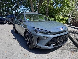 Cupra Formentor Formentor VZ 2.0 TSI 333pk 4Drive PANORAMA 360view Akrapovic VOL! picture 24