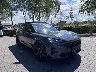 Avarii autoturisme Cupra Formentor Formentor VZ 2.0 TSI 333pk 4Drive PANORAMA 360view Akrapovic VOL! 2025/6