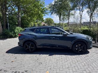 Cupra Formentor Formentor VZ 2.0 TSI 333pk 4Drive PANORAMA 360view Akrapovic VOL! picture 19