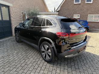 Mercedes EQA EQA 250+ AMG Camera Ambiance Leder VOL picture 19