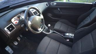 Peugeot 307 cabrio cc 2.0 lichte schade 179000 km picture 11