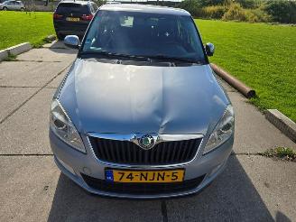 Schadeauto Skoda Fabia  2010/9