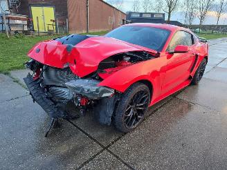 Ford USA Mustang  picture 6