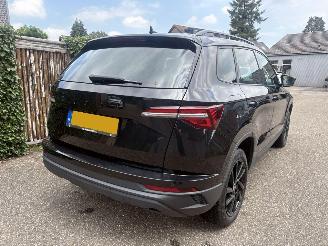 Skoda Karoq 1.0 TSI Business Edition 110PK picture 4