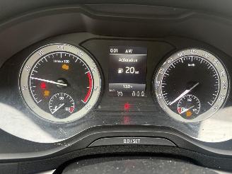 Skoda Karoq 1.0 TSI Business Edition 110PK picture 15