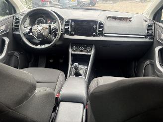 Skoda Karoq 1.0 TSI Business Edition 110PK picture 12