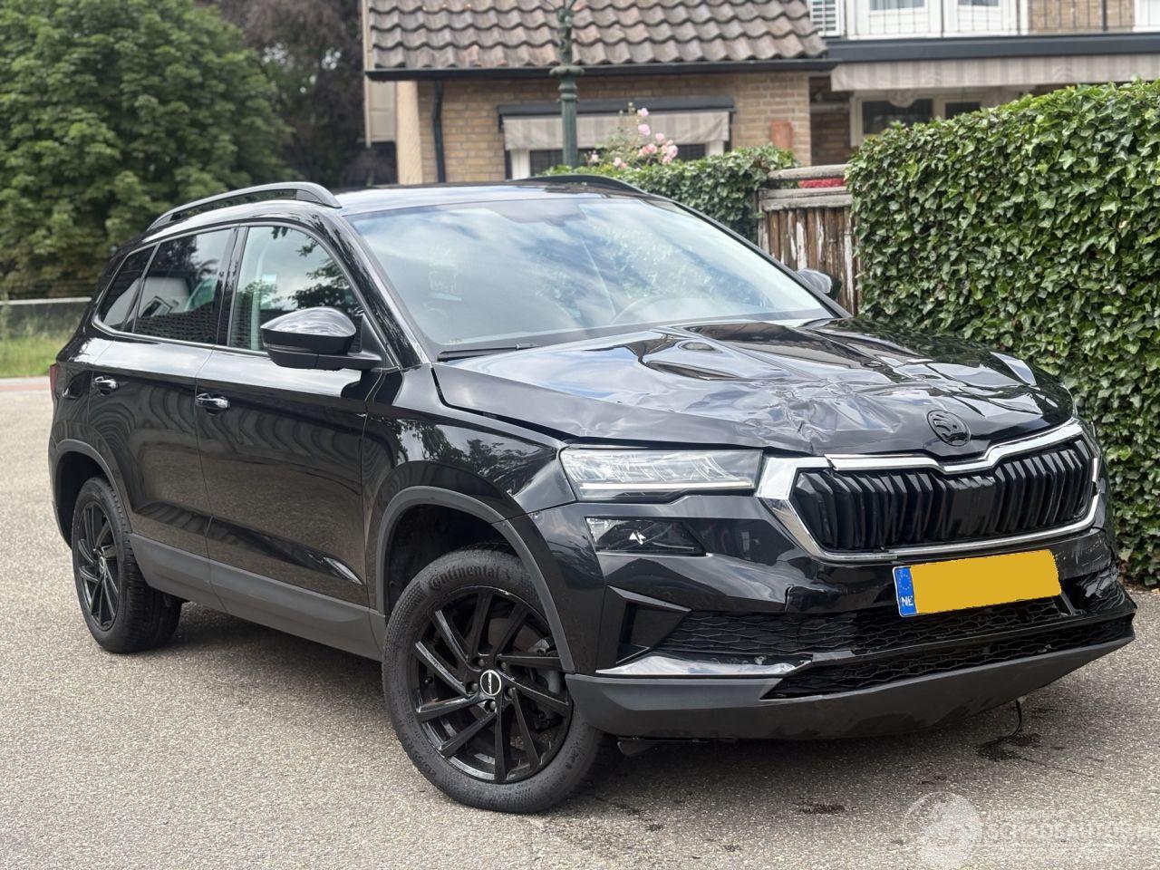 Skoda Karoq 1.0 TSI Business Edition 110PK