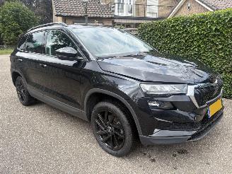 Skoda Karoq 1.0 TSI Business Edition 110PK picture 9