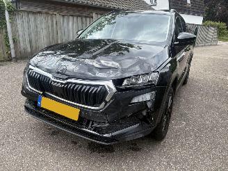 Skoda Karoq 1.0 TSI Business Edition 110PK picture 7