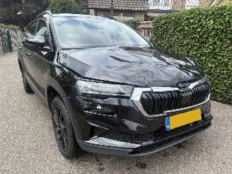 Skoda Karoq 1.0 TSI Business Edition 110PK picture 3