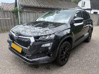 Skoda Karoq 1.0 TSI Business Edition 110PK picture 5