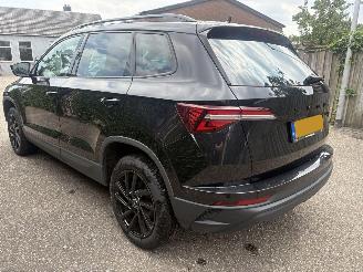 Skoda Karoq 1.0 TSI Business Edition 110PK picture 6