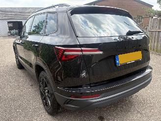 Skoda Karoq 1.0 TSI Business Edition 110PK picture 8