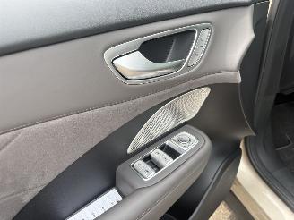 MG MG S6 EV Luxury 4WD 77 kWh 408 PK SPLINTER NIEUW picture 12