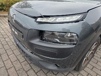 Citroën C4 cactus 1.2 PureTech 82 12V Hatchback 4Dr Benzine picture 22