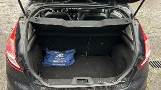 Ford Fiesta 1.0 Ecoboost Titanium picture 16