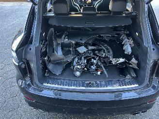 Porsche Cayenne 3.0 E-Hybrid Platinum Edition picture 24