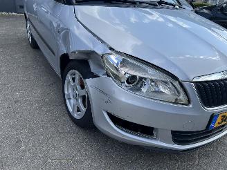 Skoda Fabia 1.2 TDI Greenline picture 11