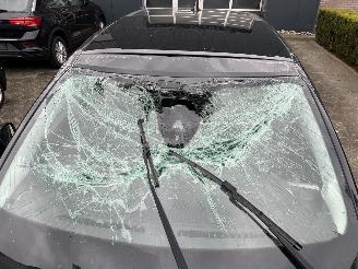 Jeep Avenger 1.2 E-HYBRID SUMMIT picture 15