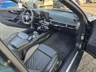 Audi  S5 CABRIO picture 7