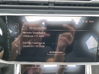 Audi Q8  picture 29
