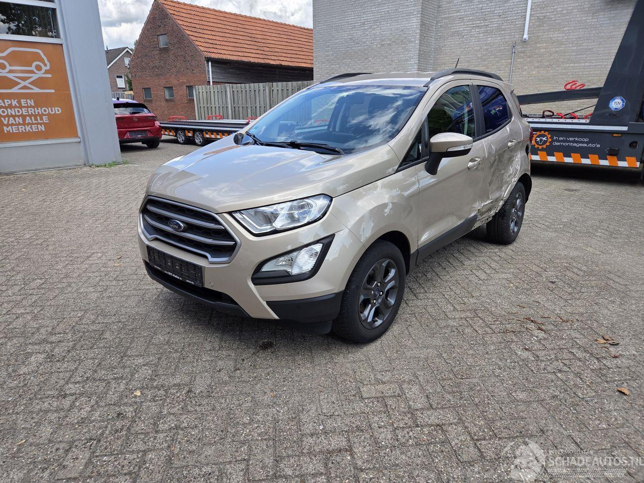 Ford EcoSport 1000 TURBO 125 PK  69650 KM  FRISSE AUTO