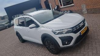 Voiture accidenté Dacia Jogger 1.0 tce  110pk navi 7 zitter 2024/8