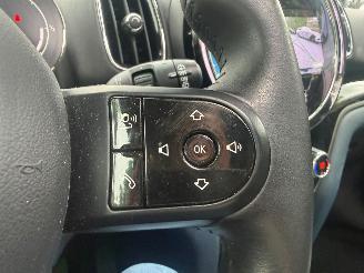 Mini Countryman COOPER SE ALL4 LEER PANO picture 31