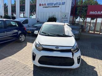 Kia Picanto Picanto (JA), Hatchback, 2017 1.0 DPi 12V picture 1