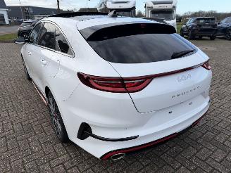 Kia Pro cee d 1.6 T-GDi  150 Kw GT-Line automaat picture 16