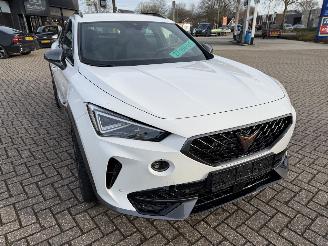 Cupra Formentor 2.0 -180 Kw Automaat VZ picture 5