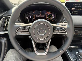 Mazda CX-60 2.5 PHEV  Homura AWD picture 48