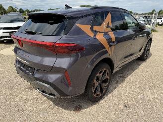 Cupra Terramar 1.5 eTSi 150 Pk automaat picture 16