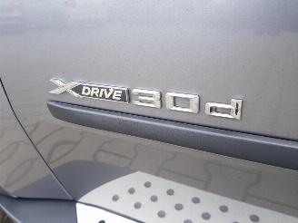 BMW X5 xDrive30d picture 24