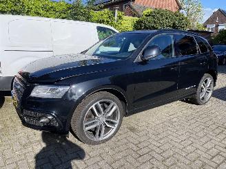 Audi SQ5 3.0 TSFI Quattro picture 25