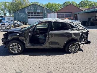 Ford Kuga Kuga III (DFK), SUV, 2019 2.5 PHEV 16V picture 6