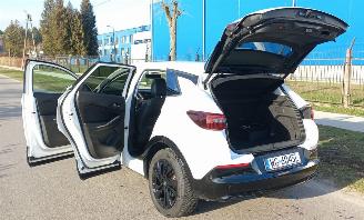 Opel Grandland 1.6 Automaat Hybrid picture 5