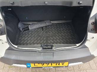 Dacia Spring Business 27 kWh picture 27
