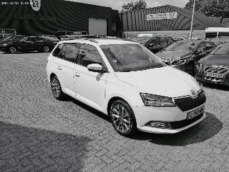 skadebil auto Skoda Fabia 1.0 TSI BUS. EDITION 2021/6