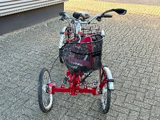 Overige  Pfau Tec Primo Vierwieler Elektrisch picture 6