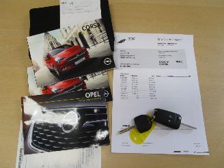 Opel Corsa-E 1.0 Turbo 120 jaar edition picture 23